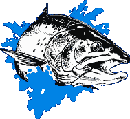 Salmon Logo